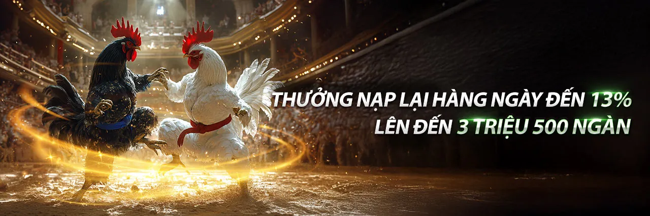Sân vận động thể thao sôi động tại 89bet1 Đá Gà